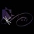 Accounting Outside the Box LLC Logotype