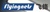 FlyingNets Information Technology Co, Ltd. Logotype