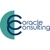 Coracle Consulting Logotype