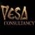 Vesa Kivinen  | VESA Digital LLC. Logotype