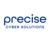 Precise Cyber Solutions Logotype