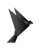 Websuccess Malta Ltd Logotype