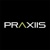 Praxiis Ltd Logotype