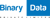 Binary Data Pvt Ltd Logotype