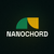 Nanochord PVT Logotype