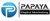 Papaya Digital Consult Logotype