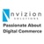 Nvizion Solutions Inc. Logotype
