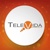 Televida Logotype