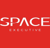Space Executive Logotype