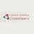 Catania Consulting Group Logotype