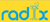 Radix Logotype
