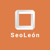 Agencia Seo León ✅ Diseño Web y SEO León Logotype