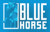BlueHorse Software Solution Pvt Ltd Logotype