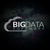 BigData Software Logotype