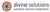 Divine Solutions Logotype