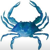 Blue Crab Connect Logotype