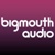 Bigmouth Audio Logotype