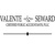 Valente & Seward CPAs Logotype