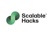 Scalable Hacks Consulting Logotype