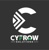 Cyfrow solutions Logotype
