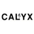 Calyx Design Group Landscape Architecture Logotype