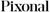 Pixonal Logotype