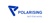 Polarising Logotype