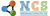 IE NUCLEOSYS TECHNO PRIVATE LIMITED Logotype