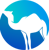Camel Digital Logotype
