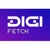 Digifetch LLC Logotype