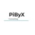 PiByX Consulting Logotype