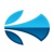 Dynamic Quest - Managed IT Services Logotype