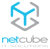 Netcube ltd Logotype