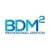 BDM Squared Professional Services Logotype