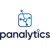 Panalytics Research Group Logotype