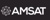 Advanced Mission Sciences and Technology (AMSAT) Logotype