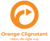 Orange Clignotant Logotype
