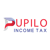 Pupilo Agency Inc Logotype