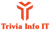 Trivia Info IT Logotype