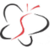 Strong Consulting LLC Logotype