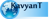 Kavyant Technologies Logotype