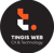 Tingis Web a customer experience (CX) agency: software development and digital marketing 💻🚀 Logotype