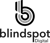 Blindspot Digital Logotype