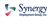 Synergy Employment Group Logotype