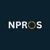 Niche Pros RPO Logotype