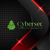Cybersec Consulting Leaders LLC Logotype