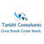 Tanishi Consultants Pvt. Ltd. Logotype