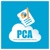 Platinum Cloud Accounting Logotype
