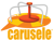Carusele Logotype