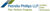Petrella Phillips LLP Logotype